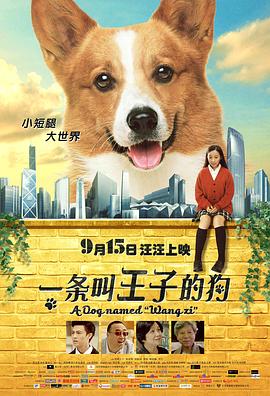 蜜月团团转
