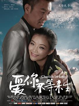 虚情假意2006