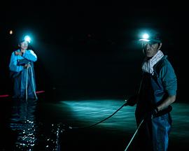 钢之炼金术师完结篇最后的炼成